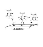 分子接着剤